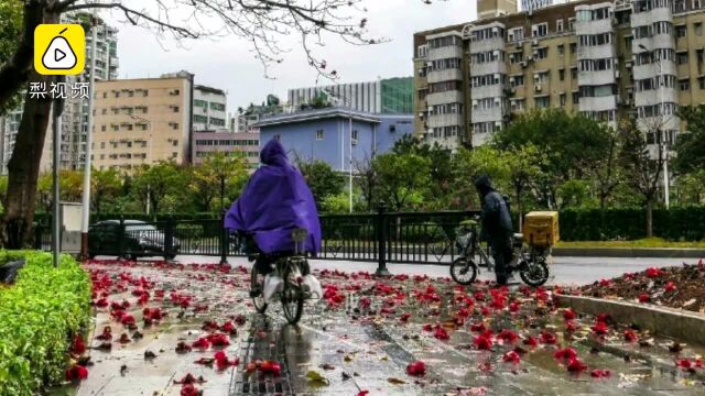 广州雷雨大风的气候背景:从现在起整个夏季都是多发期