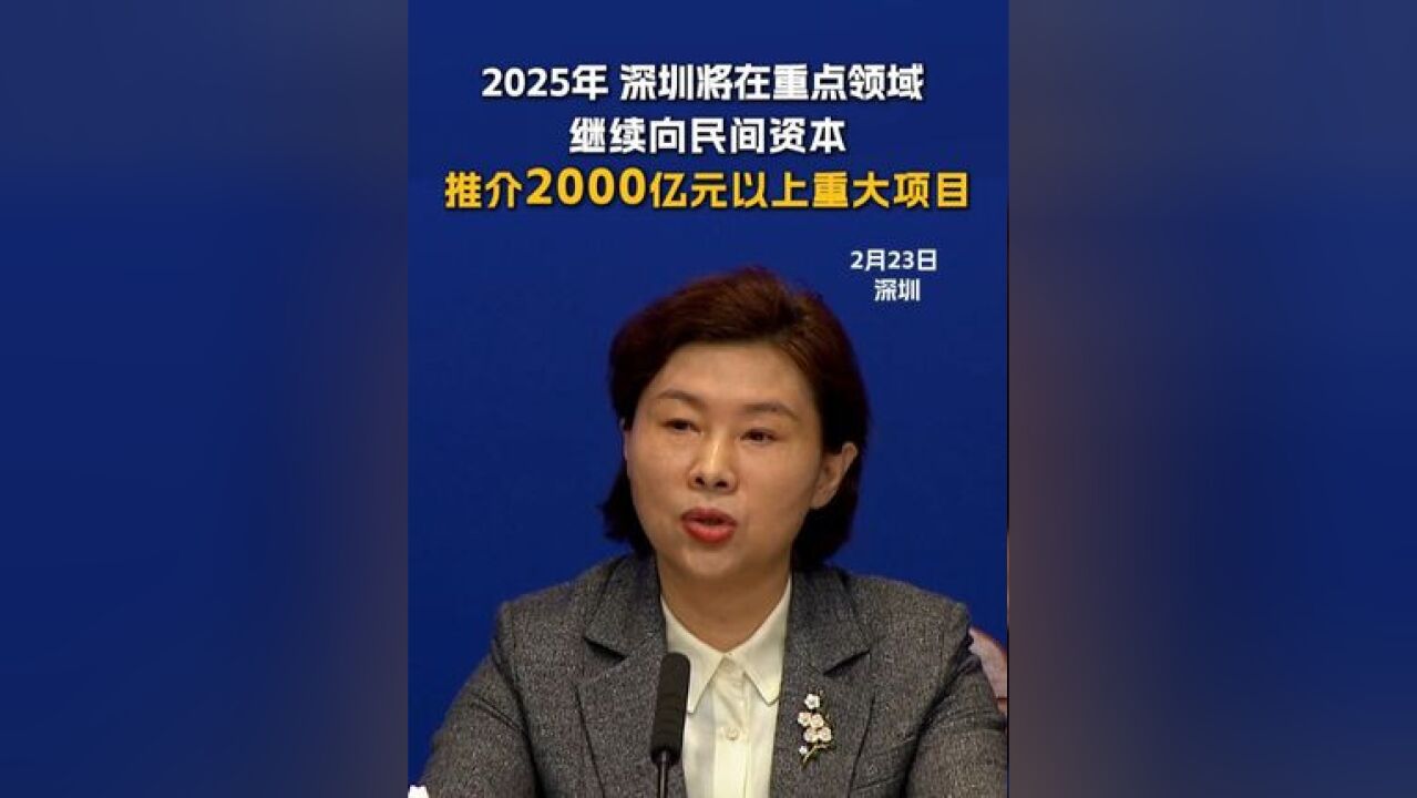 深圳将在重点领域 继续向民间资本推介2000亿元以上重大项目 2月23日,深圳举行新闻发布会.深圳市发展和改革委主任郭子平介绍,今年深圳将在能源、...