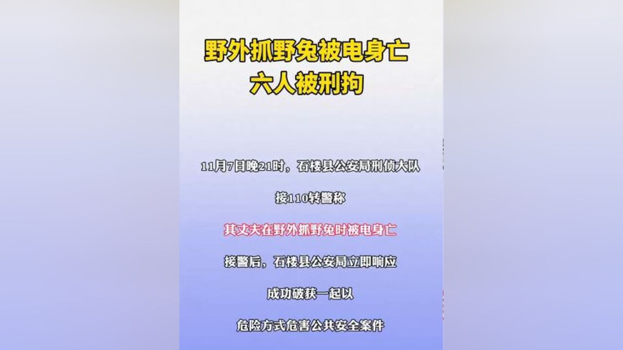 野外抓野兔被电身亡 六人被刑拘