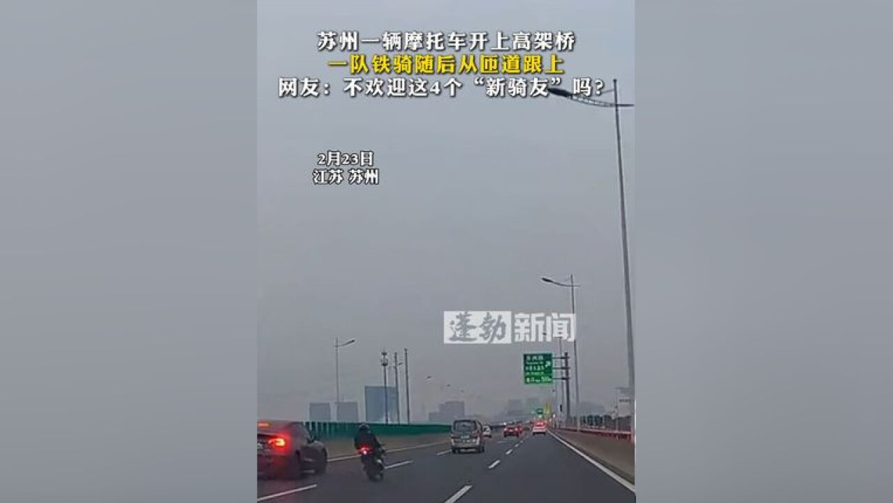 苏州一辆摩托车开上高架桥,一队铁骑随后从匝道跟上;网友:不欢迎这4个“新骑友”吗?