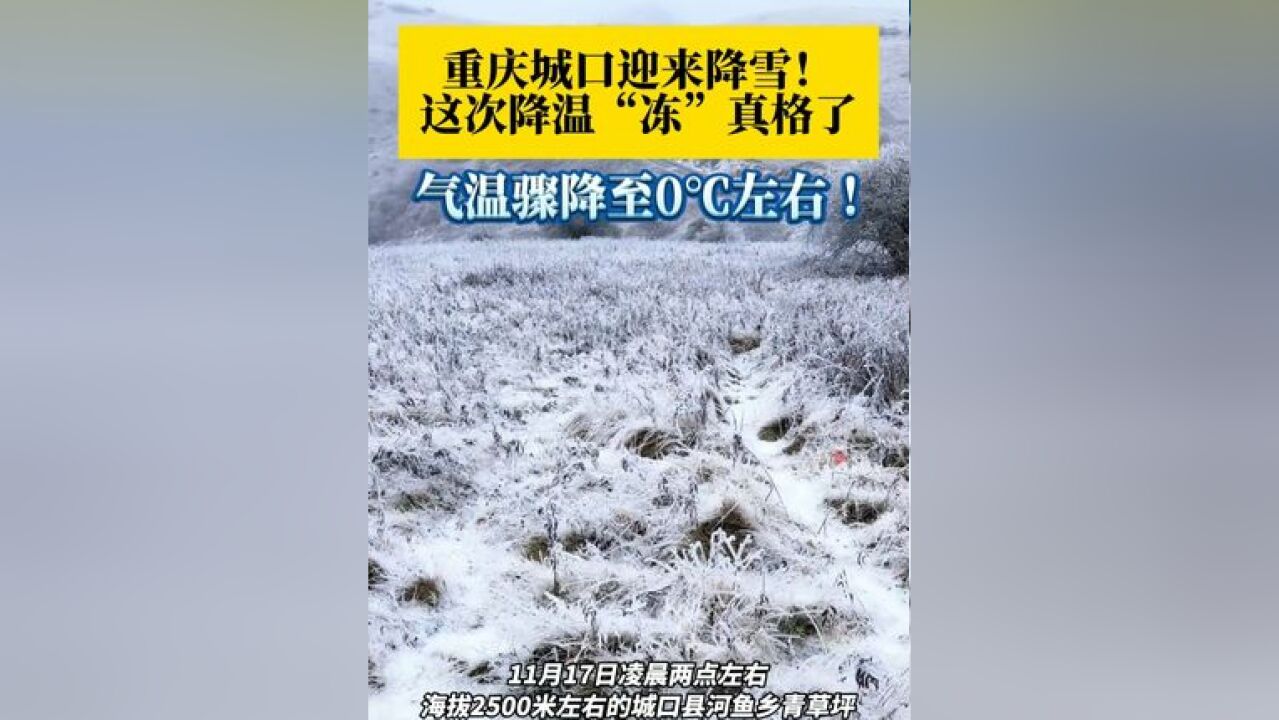 下雪了!11月17日,重庆城口高海拔地区迎来降雪 ,气温骤降至0℃左右!这次降温“冻”真格了…… 大家记得添衣保暖~