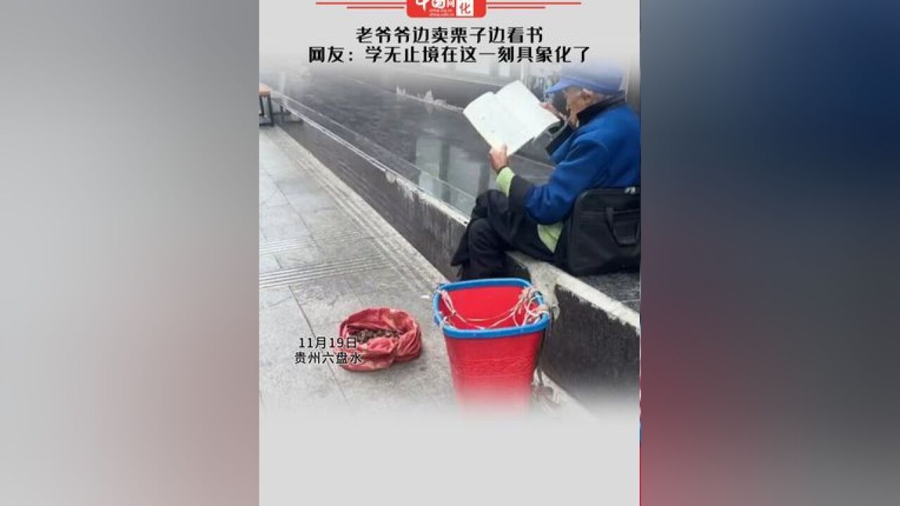 老爷爷边卖栗子边看书 网友:学无止境在这一刻具象化了