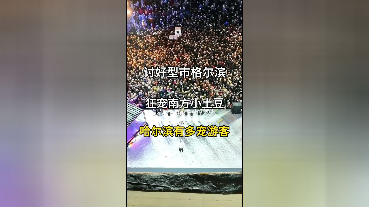 哈尔滨'宠爱'游客,南方小土豆成冬日宠儿,这座冰雪之城如何名利双收