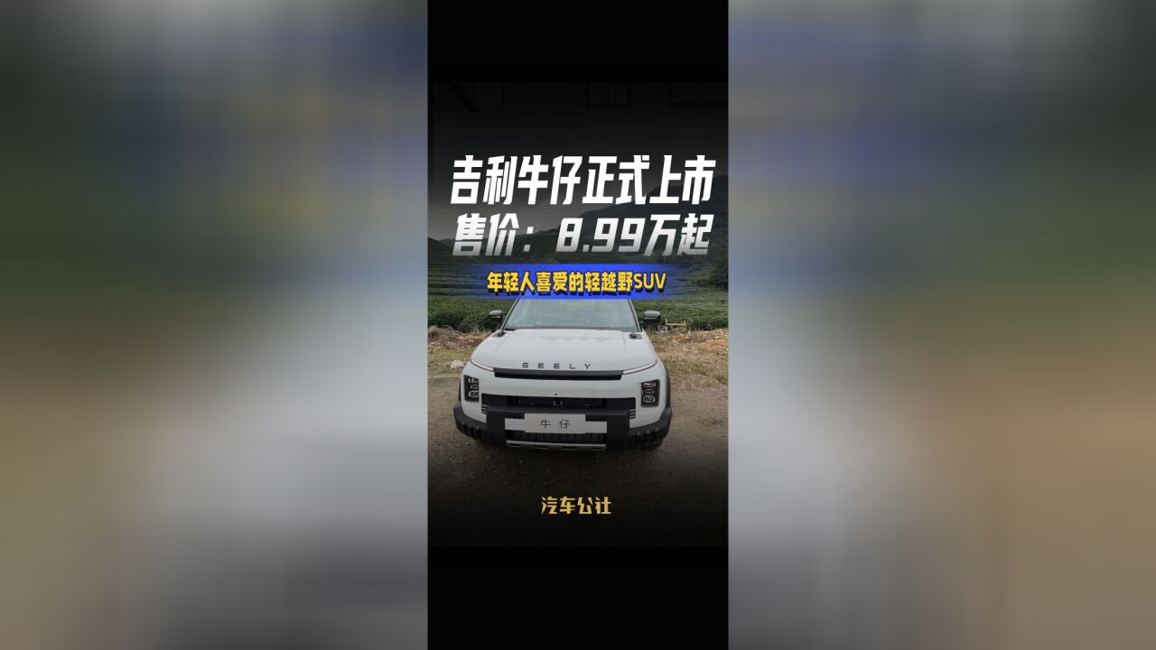 吉利牛仔正式上市,起售价:8.99万起 年轻人喜爱的轻越野SUV