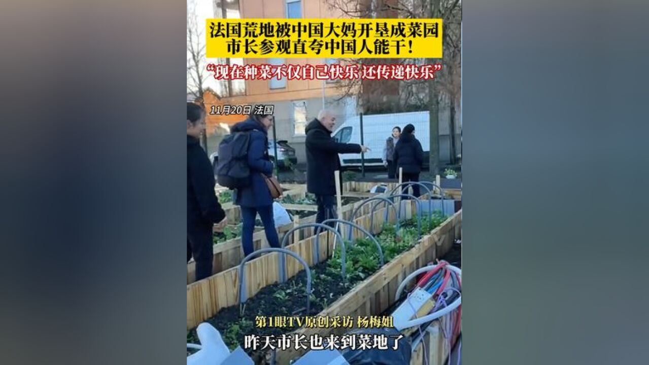 法国荒地被中国大妈开垦成菜园 ,当地市长去参观直呼中国人勤劳能干!种菜大妈:喜欢种菜,不仅自己快乐……