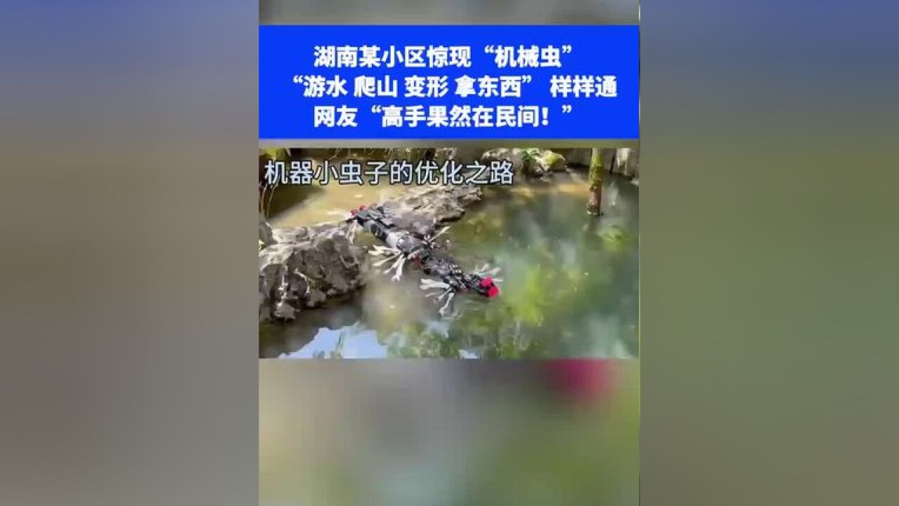 湖南某小区惊现“机械虫”游水 爬山 变形 拿东西样样通网友“高手果然在民间!”⑬