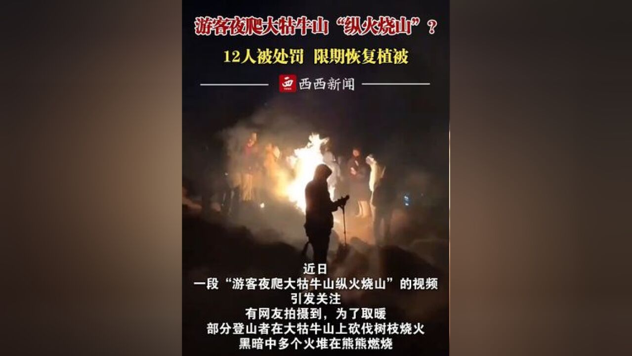 游客夜爬大牯牛山“纵火烧山”?12人被处罚,限期恢复植被