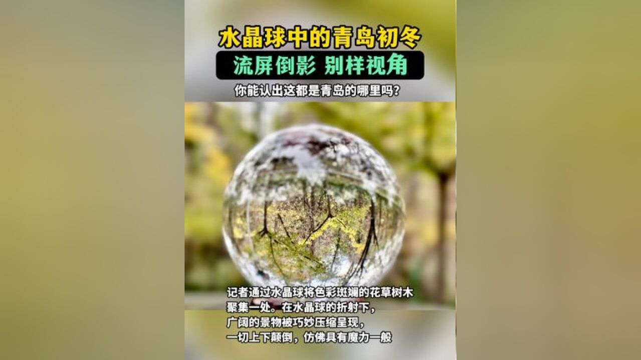 水晶球中的青岛初冬,你能认出这是青岛哪里的景色吗?