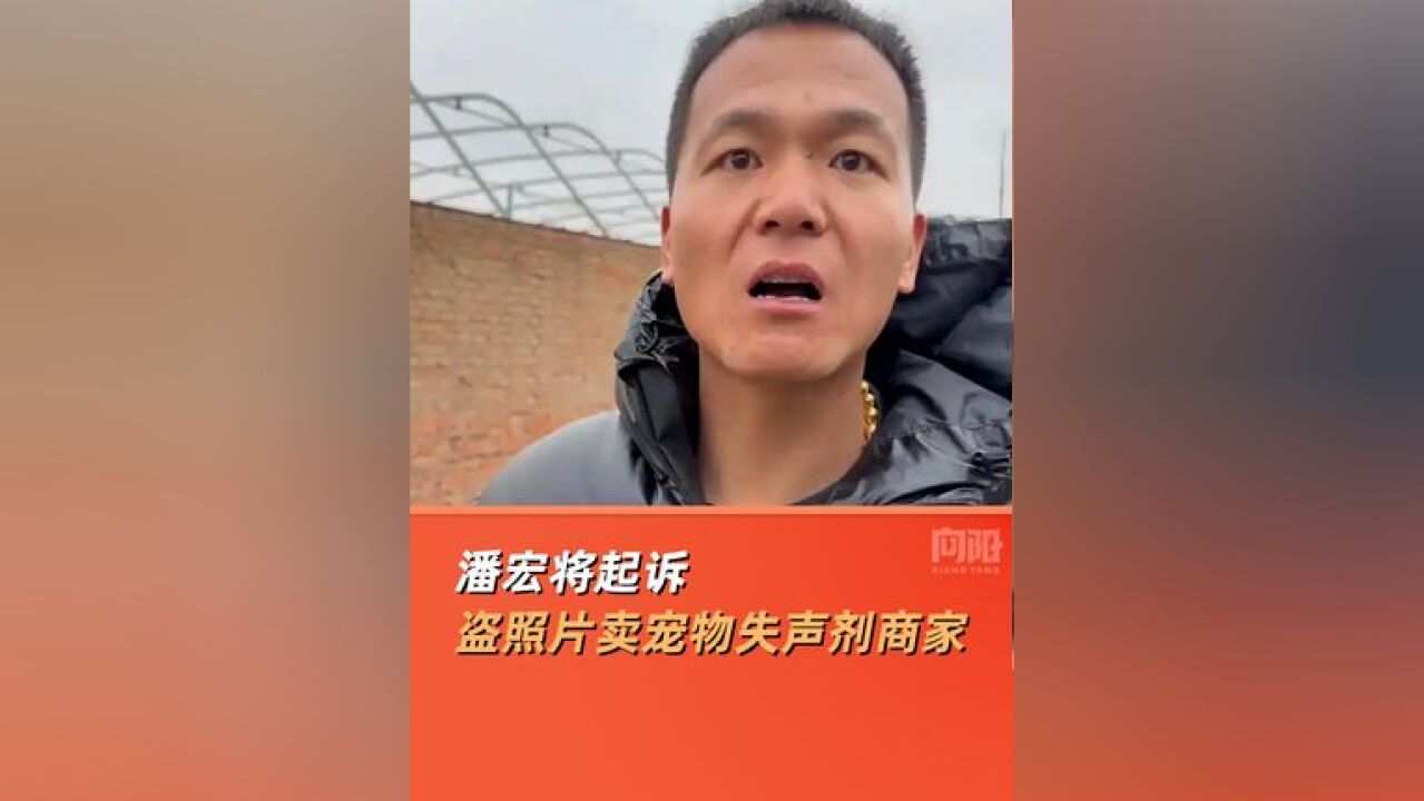 潘宏将起诉盗照片卖宠物失声剂商家