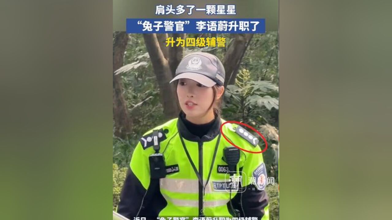 “兔子警官”,升职四级辅警