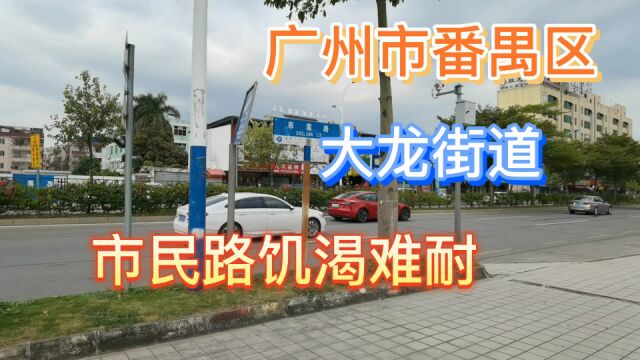 广州市番禺区大龙街道市良路饥饿难耐