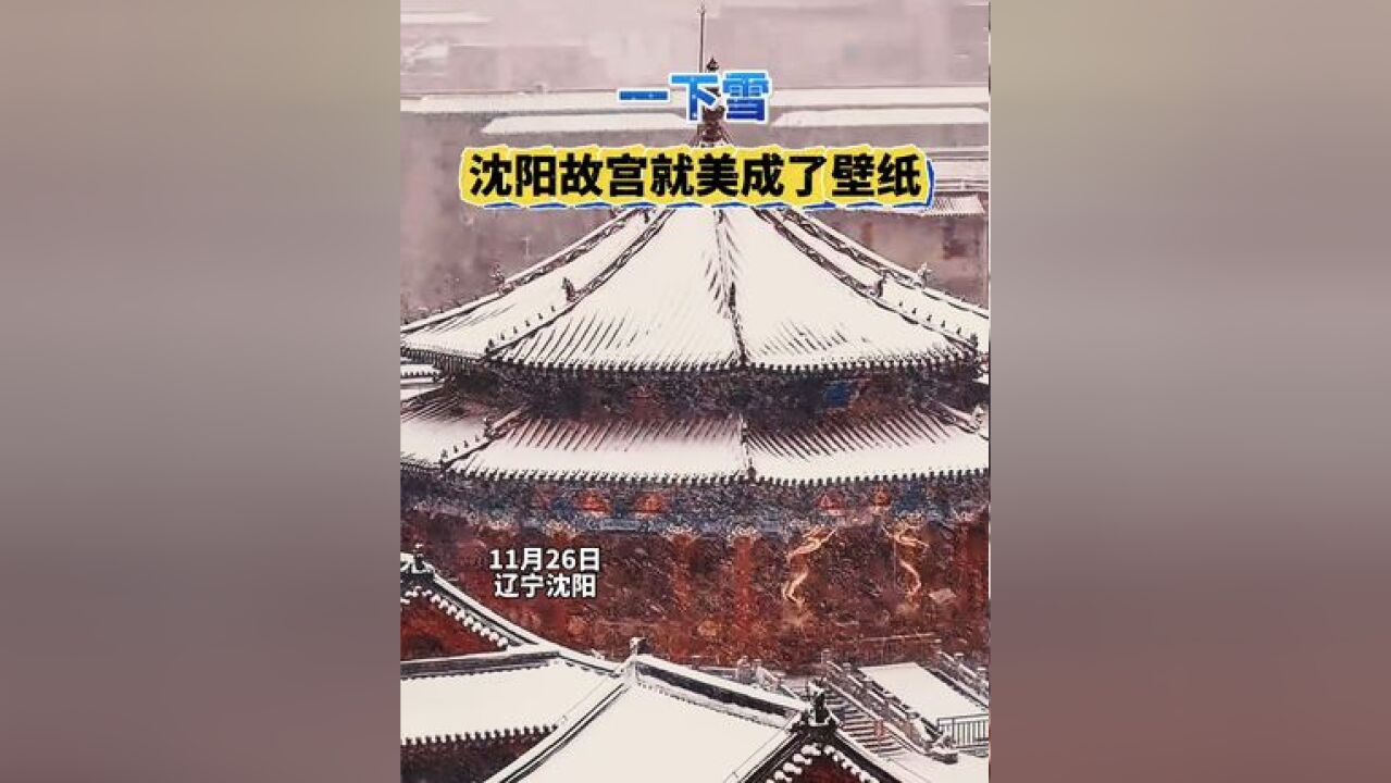 一下雪 沈阳故宫就美成了壁纸