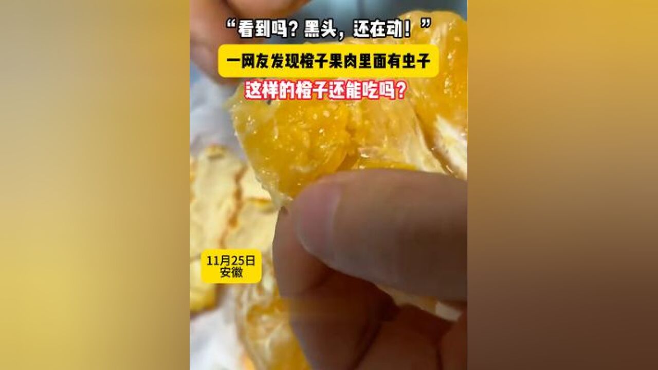 “看到吗?黑头,还在动!”一网友发现橙子果肉里面有虫子,这样的橙子还能吃吗?