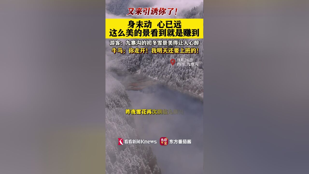 九寨沟又双叒下雪啦 童话世界美得让人心醉