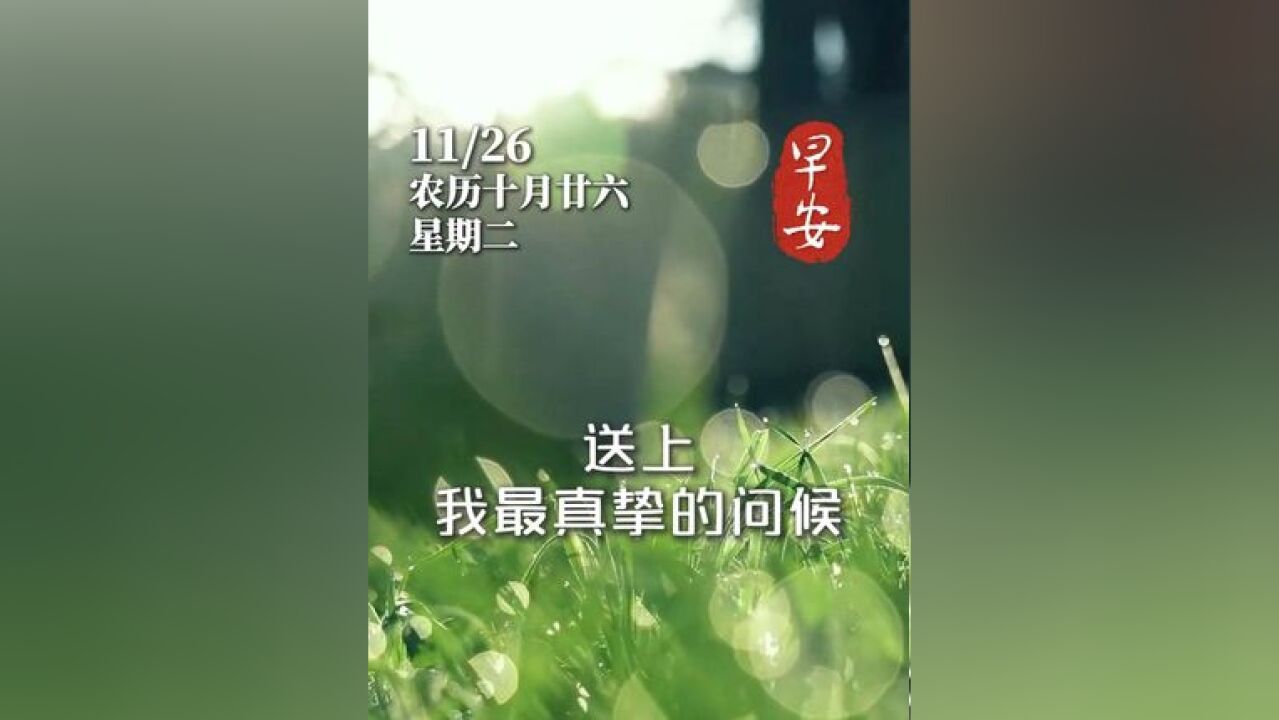 今天是11月26日,清晨的露珠,闪烁着晶莹的光芒,如同眼中闪烁的希望与梦想.早安!