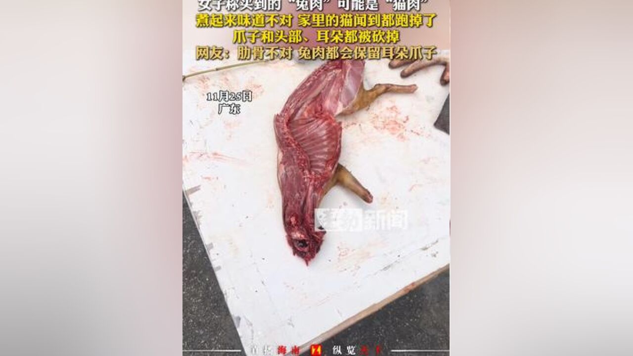 女子称买到的“兔肉”可能是“猫肉”,煮起来味道不对 家里的猫闻到都跑掉了,爪子和头部、耳朵都被砍掉,网友:肋骨不对