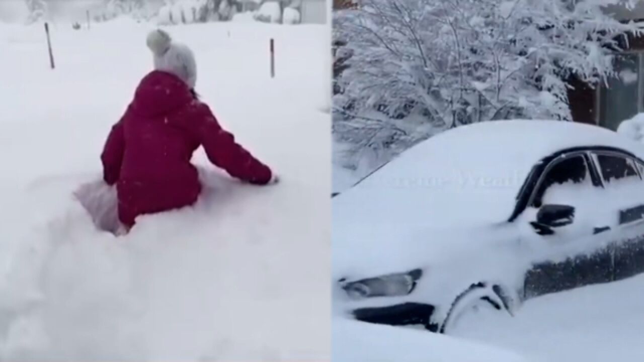 暴雪袭击美国纽约州 600万人受灾,致2人死亡,社区陷入瘫痪