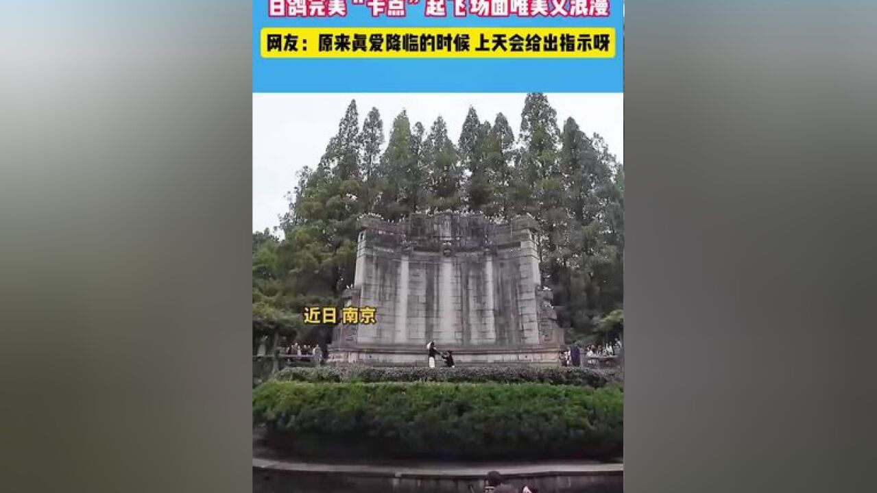 一对情侣求婚现场,白鸽“卡点”起飞,场面唯美又浪漫