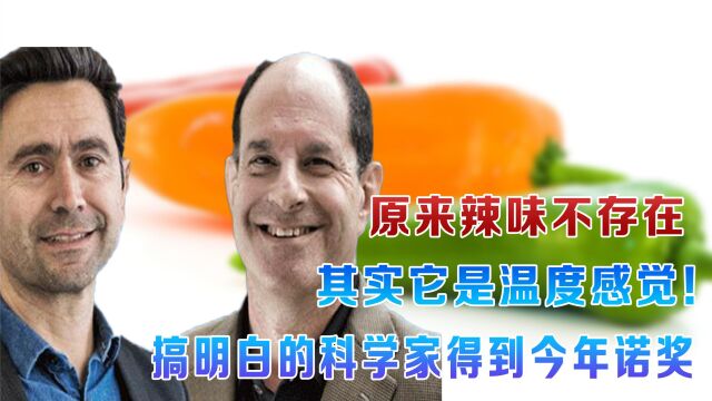 原来辣味不存在,它只是一种热感!搞明白的科学家今年获生理诺奖