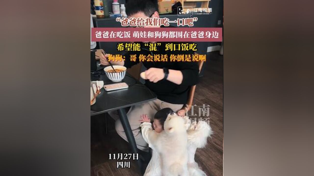 “爸爸给我们吃一口吧”,爸爸在吃饭 萌娃和狗狗都围在爸爸身边,希望能“混”到口饭吃,狗狗:哥 你会说话 你倒是说啊