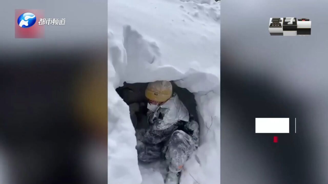 东北限定!神仙老爸带娃挖雪洞造雪屋,南方小伙伴看完羡慕哭