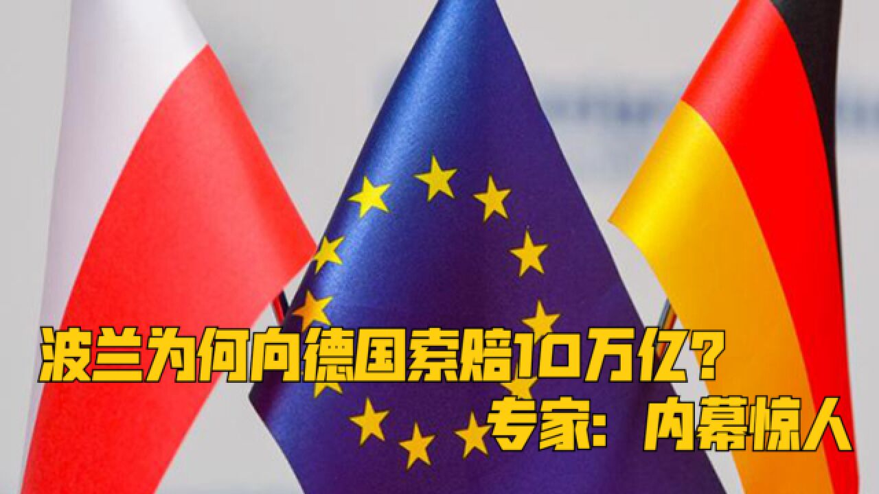 一个彻头彻尾的白痴,波兰为何向德国索赔10万亿?专家:内幕惊人