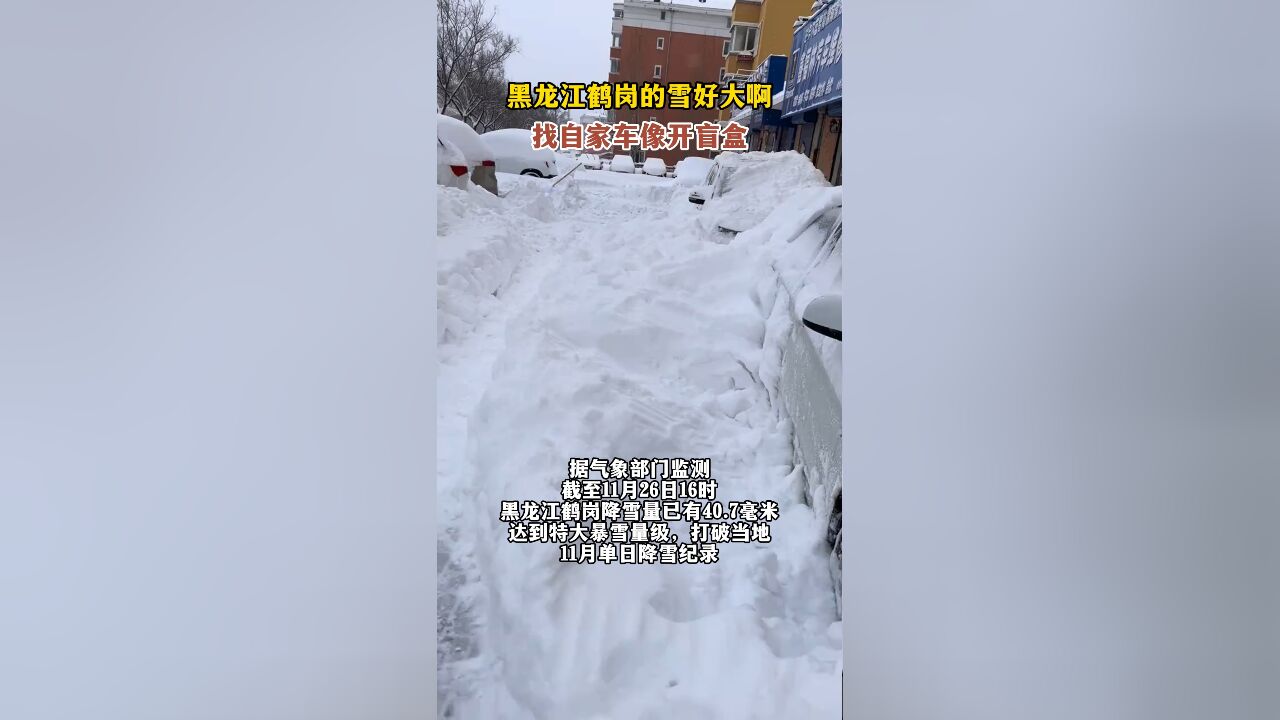 黑龙江鹤岗的雪好大啊,找自家车像开盲盒