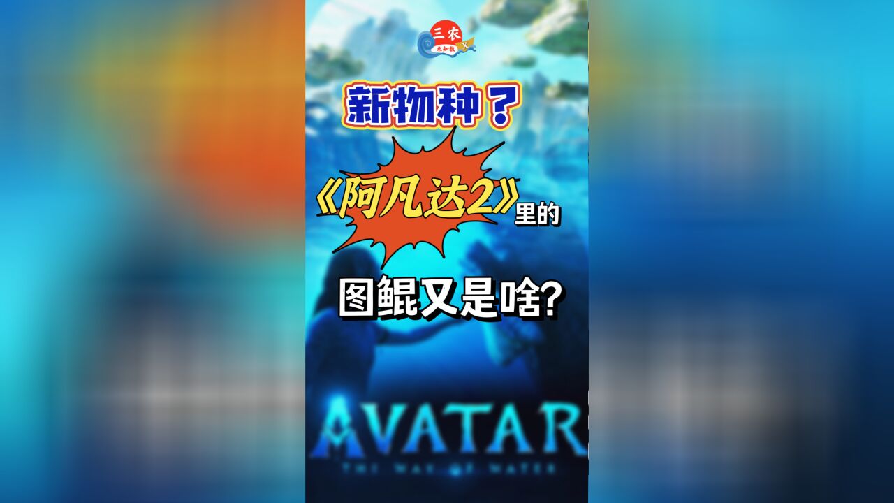 三农未知数丨新物种?《阿凡达2:水之道》里的图鲲又是啥?