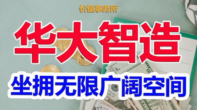 极其重要的极端赛道独苗苗,中国第一全球唯三的龙头,毛利率超高