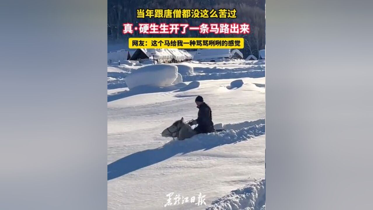 当年唐僧都没这么苦过 真ⷧᬧ”Ÿ生开了一条马路出来 网友:这个马给我一种骂骂咧咧的感觉