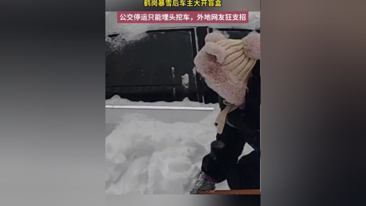 鹤岗暴雪后车主大开盲盒,公交停运只能埋头挖车,外地网友狂支招