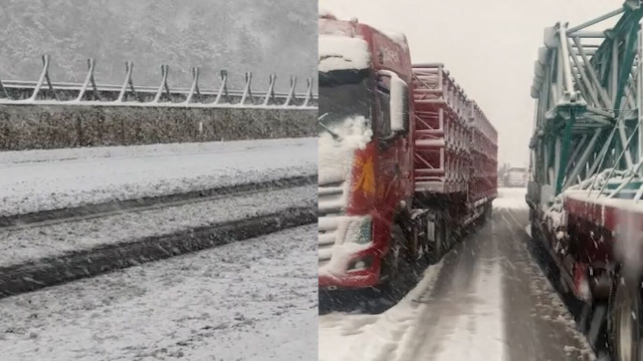 河南三门峡今晨现三月桃花雪 大雪覆盖地面高速运行受阻