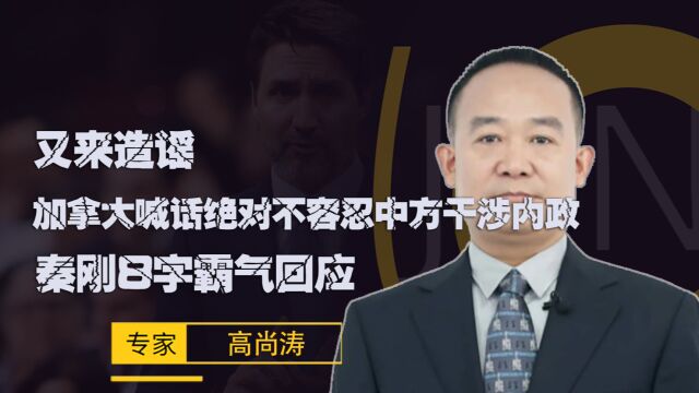 又来造谣加,拿大喊话绝对不容忍中方干涉内政,秦刚8字霸气回应