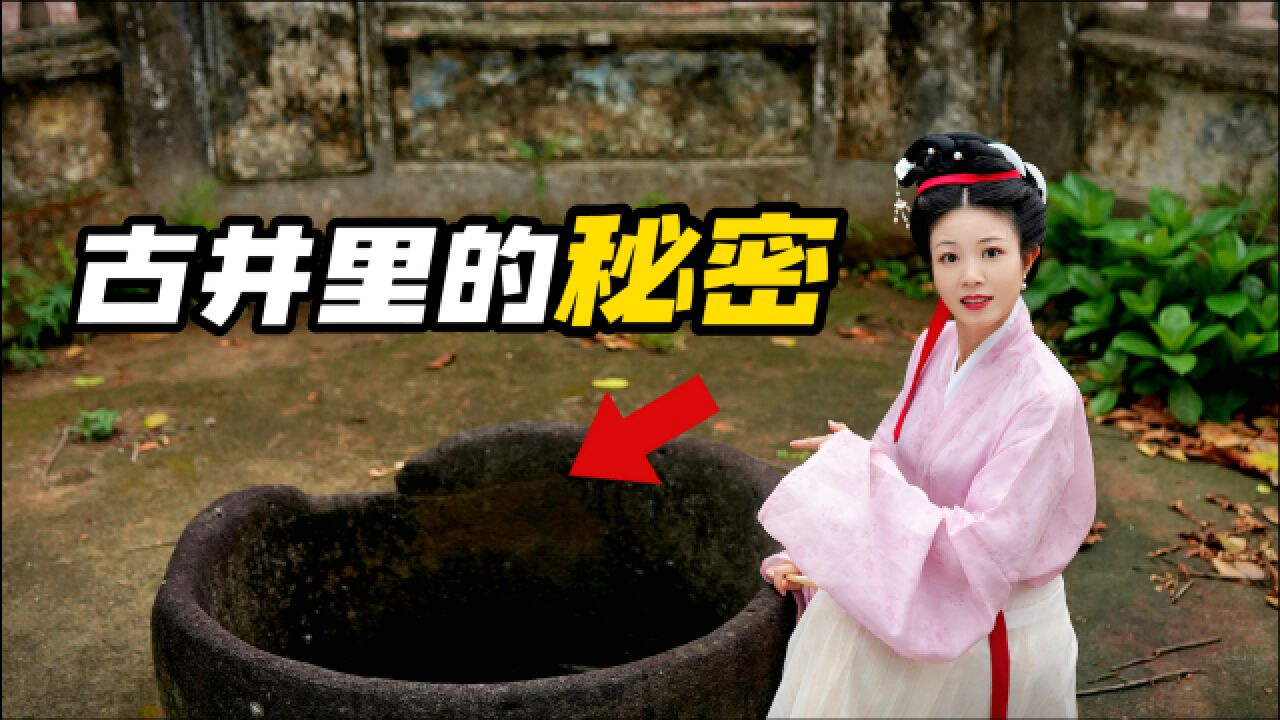 再探古井村:这口600年不干的古井背后有何故事?