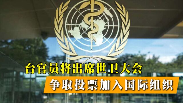 WHO和G7表态后,台官员确定出席WHA,要争取加入国际组织