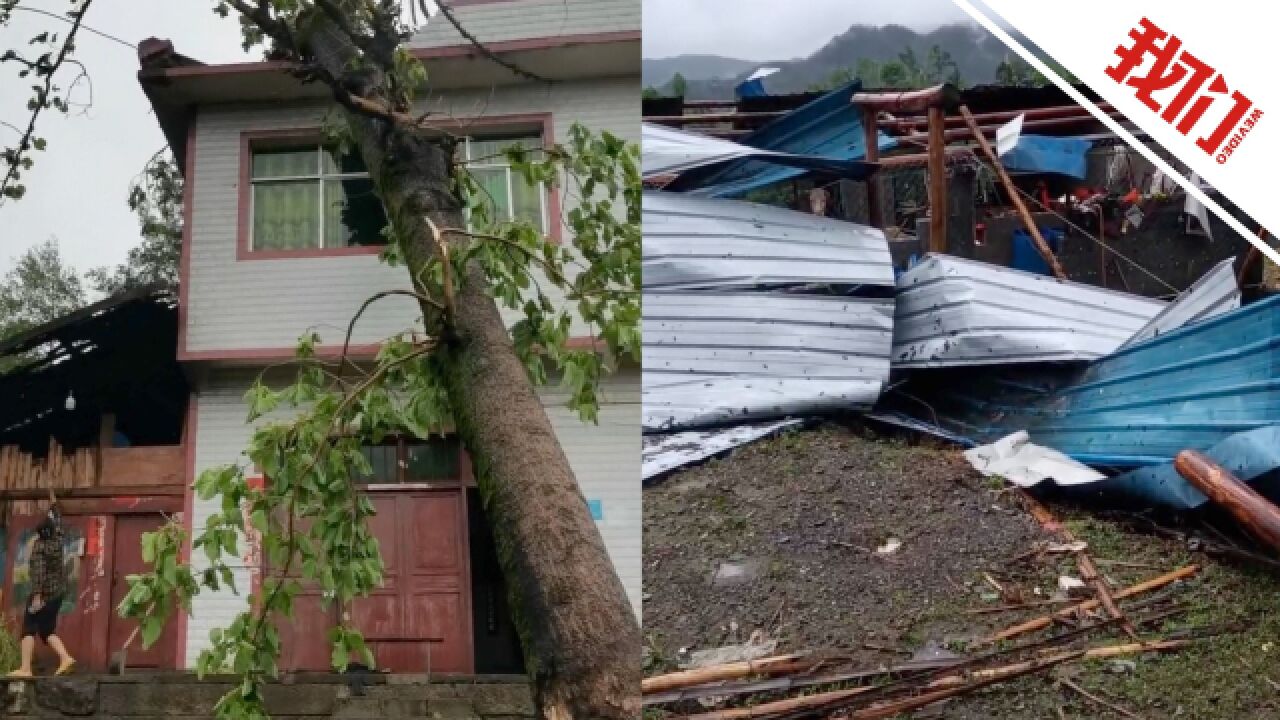 贵州沿河遭遇强风冰雹数千人受灾:一村庄百年古树倾倒砸坏民房 全村停电