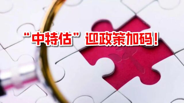 “中特估”迎政策加码!