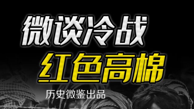 读错了书的波尔布特,是怎样将治国搞成“玩游戏”?