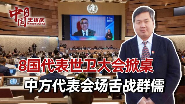 WHA连续7年拒绝台湾,8国代表掀桌,大会现场,中国代表舌战群儒