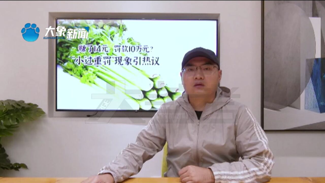 老农卖不合格芹菜获利14元,被罚10万元?法院裁定不准予强制执行