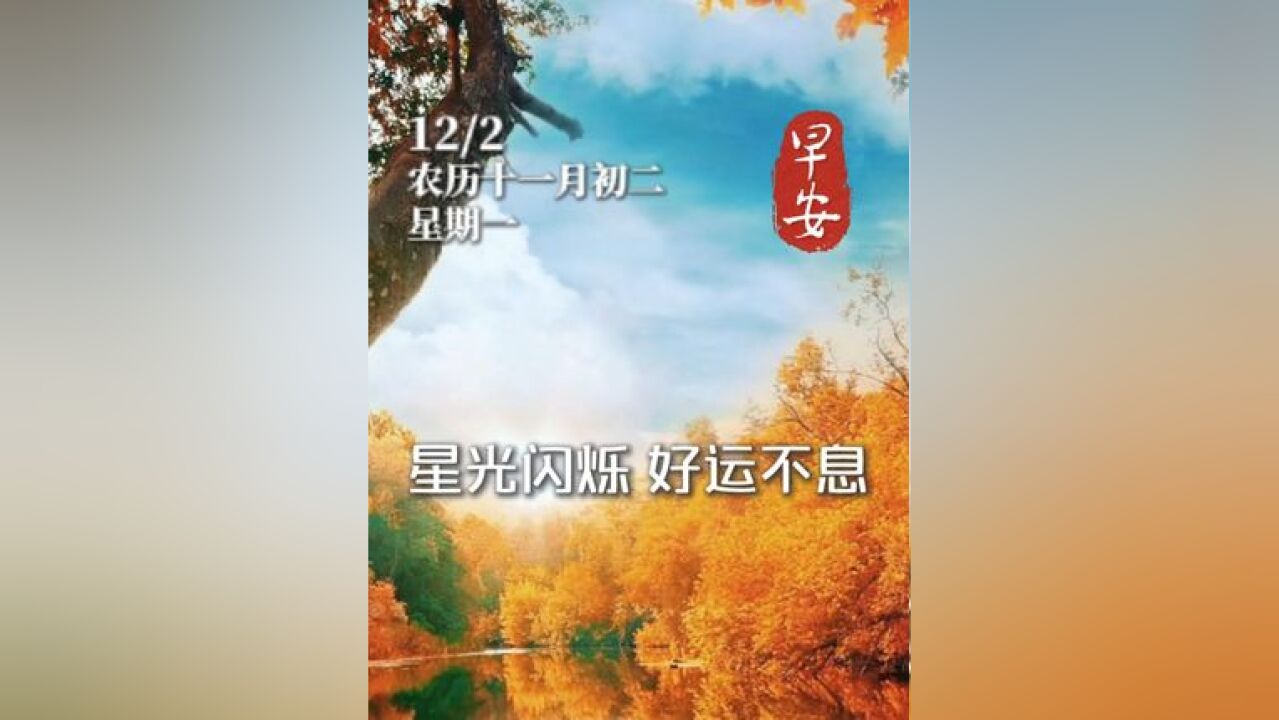 星光闪烁,好运不息,今天是12月2日星期一,愿您和家人事业兴旺步步高,家庭和谐乐融融#早安 #问候