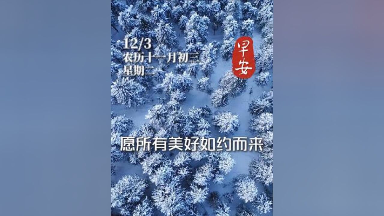 今天是12月3日星期二,早安!愿您在这个冬天里,只有温暖的阳光和甜蜜的笑容.愿所有美好如约而来,幸福伴您左右#早安 #问候