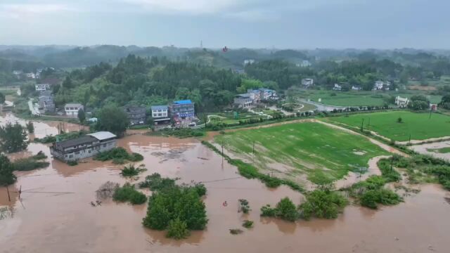 组图 | 暴雨突袭 他们全力确保安全供电