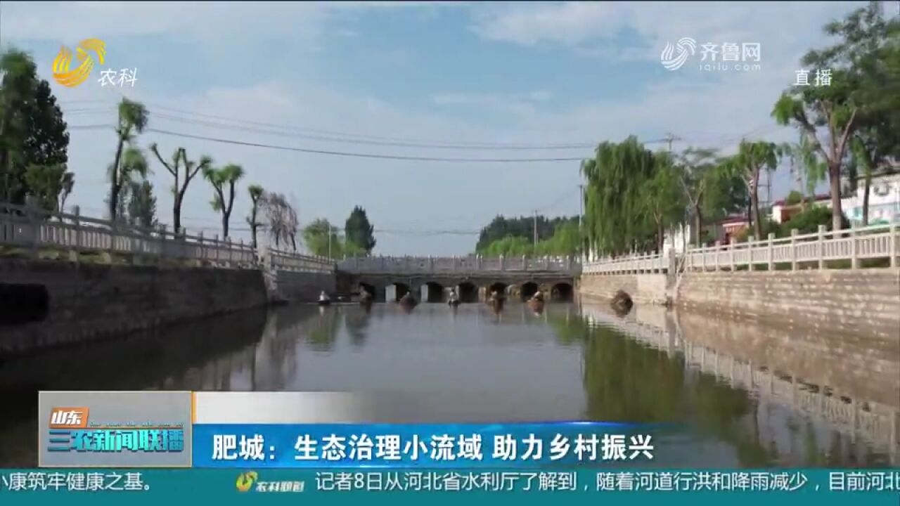 肥城:大力推进生态治理小流域,打造生态宜居流域,助力乡村振兴