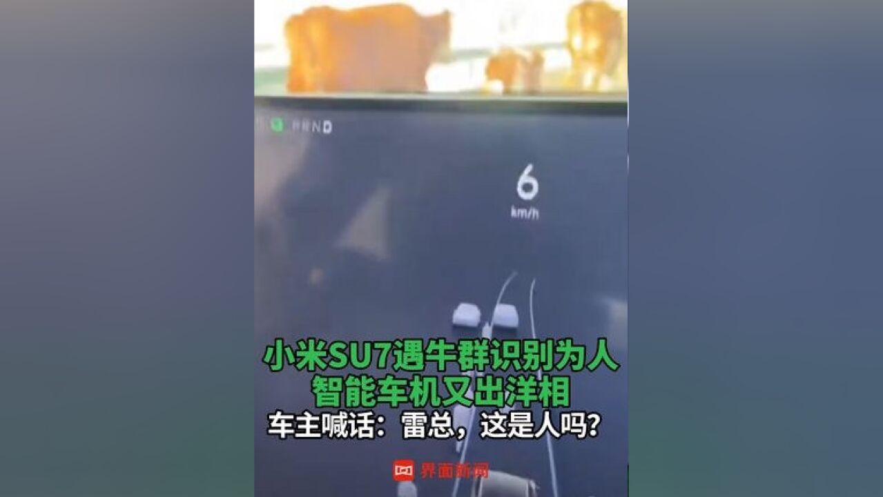 小米SU7遇牛群识别为人 ,智能车机又出洋相,车主喊话:雷总,这是人吗?