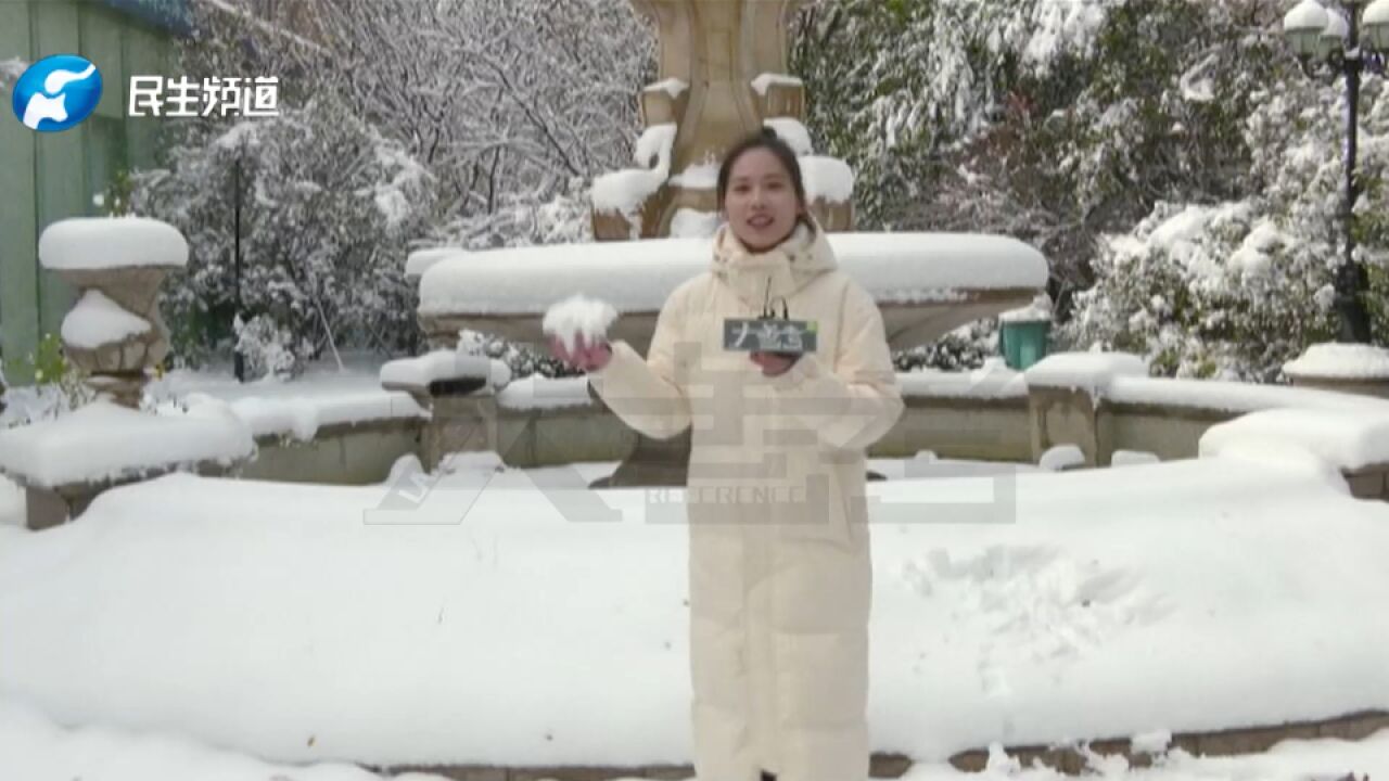 大雪如期而至,一夜之间绿城郑州银装素裹,你期待下雪吗?