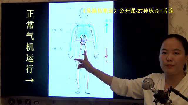 11脉诊三焦分区、三阴三阳分区易演伤寒论脉诊+舌诊公开课