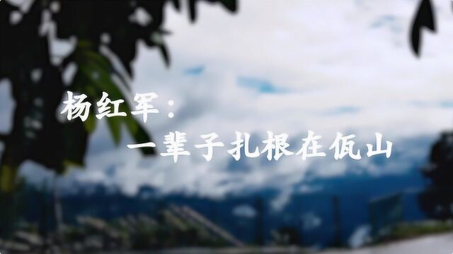 杨红军:一辈子扎根在佤山