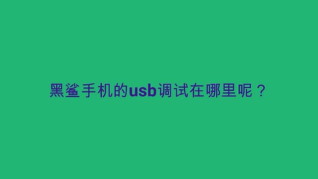 黑鲨手机的usb调试在哪里呢?