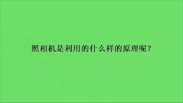 照相机是利用的什么样的原理呢?